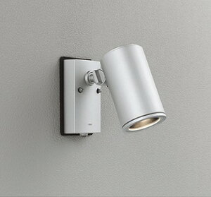 OG254553P1 I[fbN X|bgCg Vo[ vʔ ZT[t ODELIC