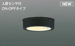 AU50486 RCY~ pV[OCg ubN LEDidFj ZT[t