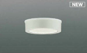 AU50496 RCY~  zCg LEDiFj