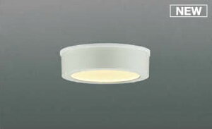 AU50499 コイズミ 浴室灯 ホワイト LED(電球色)