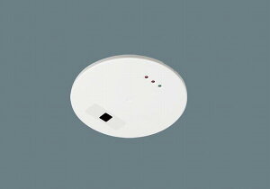 NK51111 �p�i�\�j�b�N LS�^PD�M���ϊ��C���^�[�t�F�[�XPlus