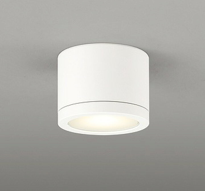 楽天市場】OR037064 オーデリック 非常灯・誘導灯 ホワイト LED（電球 