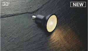AE50506E �R�C�Y�~ LED�����v �_�C�N���C�b�N�n���Q�����` �u���b�N �d���F 3000K 33°