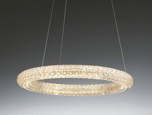 ERP7496C Ɩ y_gCg 750 LEDidFj