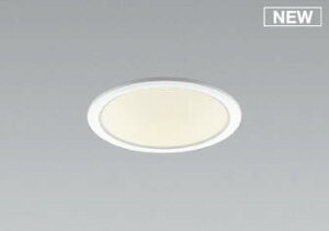 AD53000 �R�C�Y�~ �_�E�����C�g ��100 LED(�d���F) �g�U (AD49652L ��֕i)