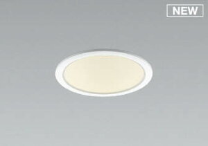 AD53319 �R�C�Y�~ �_�E�����C�g ��100 LED(�d���F) �g�U (AD49552L �ގ��i)