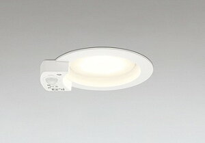 OD361413LR �I�[�f���b�N �_�E�����C�g �z���C�g ��100 LED�i�d���F�j �Z���T�[�t �g�U