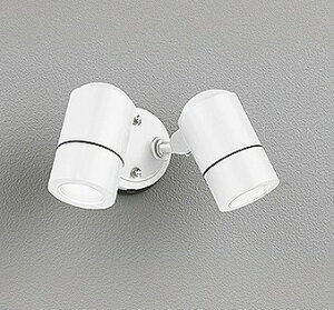 OG254563NR I[fbN OpX|bgCg 2 zCg LEDiFj Lp