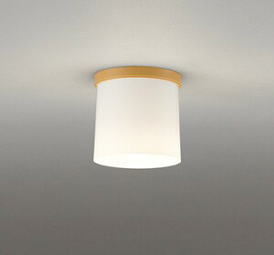 OL013007LR �I�[�f���b�N ���^�V�[�����O���C�g �i�`������ LED�i�d���F�j