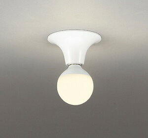 OL218036LR �I�[�f���b�N ���^�V�[�����O���C�g LED�i�d���F�j