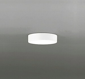 OL251359R �I�[�f���b�N ���^�V�[�����O���C�g LED�i�����F�j