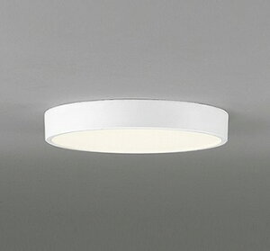 OL251727R �I�[�f���b�N ���^�V�[�����O���C�g ��300 �z���C�g LED�i�d���F�j