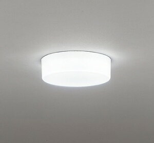 OL291335R �I�[�f���b�N ���^�V�[�����O���C�g LED�i�����F�j