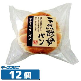 食彩館 天然酵母パン ブルーベリー 1ケース（12個）ロングライフパン