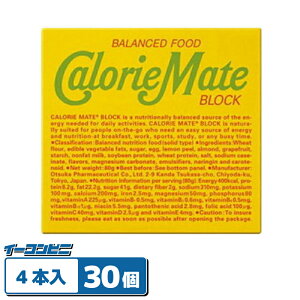 ��ː���J�����[���C�g�u���b�N �t���[�c 4�{�� x 30��