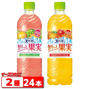 Tg[VR Ɖʎ 600ml 2e12{lߍ킹iv24{j IW}S[^sNO[vt[c}XJbg MǑ΍