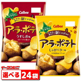 【2025年版】カルビー ア・ラ・ポテト 64g 組み合わせ選べる24袋 期間限定 アラポテト
