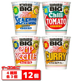 日清 カップヌードル BIG（ビッグ） 4種各3個セット （計12個） 大盛