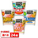 日清 カップヌードル BIG(ビッグ) 組み合わせ選べる2ケース (計24個) カップ麺 ラーメン