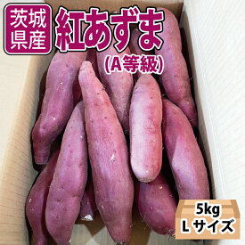 『お取り寄せ』茨城県産　紅あずま　Lサイズ　A等級　約5kg　1箱　青果市場から仕入れ。今季分残り僅か！