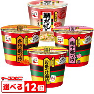 永谷園 カップお茶づけ海苔 / カップさけ茶づけ / カップ梅干し茶づけ / 鯛だし茶づけ 組み合わせ選べる1…