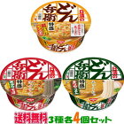 【送料無料(沖縄・離島除く)】日清のどん兵衛　特盛　3種　各4個セット
