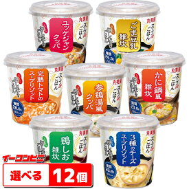 丸美屋 スープdeごはん 組み合わせ選べる12個 お湯を注いで3分 押し麦入りごはん 雑炊 クッパ リゾット