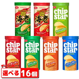 ヤマザキ チップスターSサイズ 45g 組み合わせ選べる16個 ポテトチップス chipstar
