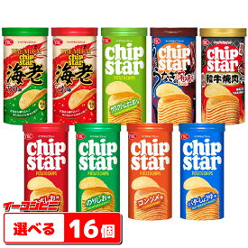 ヤマザキ チップスターSサイズ 45g 組み合わせ選べる16個 ポテトチップス chipstar