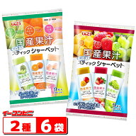 しんこう 国産果汁スティックシャーベット 9本入 6種類の味が楽しめる 2種各3袋ずつ 計6袋 詰め合わせ （…