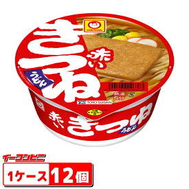 マルちゃん　赤いきつね　東　96g　1ケース（12個）【送料無料(沖縄・離島除く)】