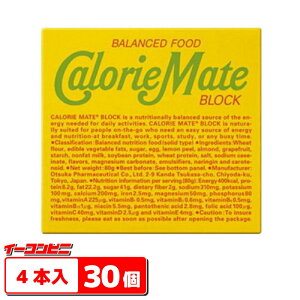 ��ː���J�����[���C�g�u���b�N �t���[�c 4�{�� x 30��