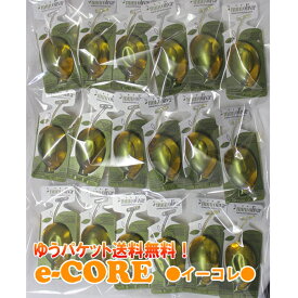 楽天市場 オリーブオイル 使い切りの通販