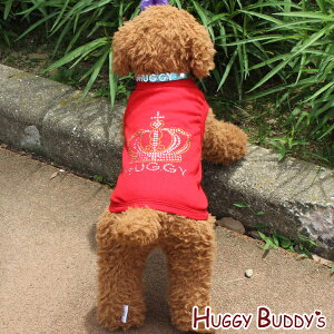 NEijTVcibhj@iXS`XLTCYjHUGGY BUDDY'S(nM[ofB[Y)y[֑z s1000~|bL@@@pi@  ̕ hbOEFAt styRCP