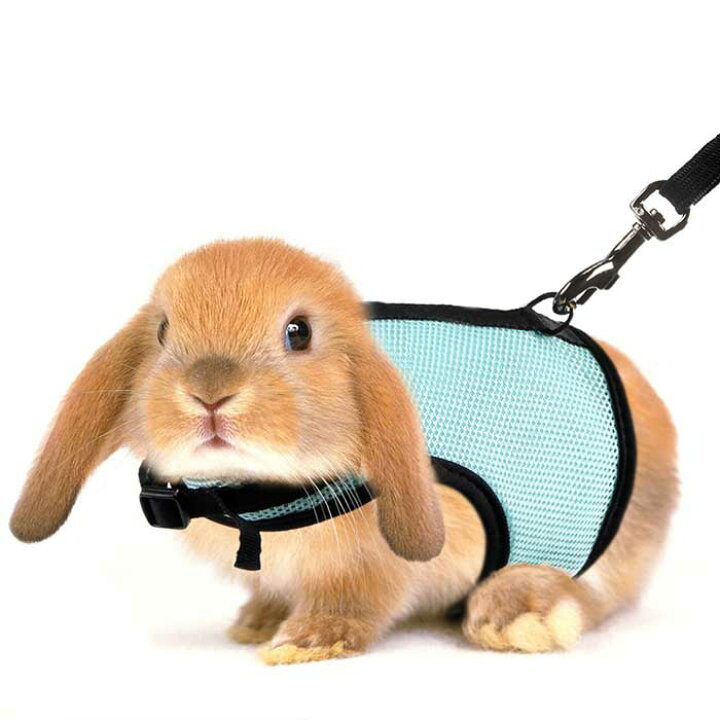 楽天市場 うさぎハーネスs Lサイズ 小動物用 お散歩 お出かけ用ハーネス ハギーバディーズ メール便送料無料 代引不可 ウサギ フェレット モルモット ハーネス ペット用品 うさんぽ Rcp ペット用品と輸入食品のイーコレ