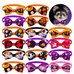 y[֑znEBpybgg~O{@`[J[@lN^C@A\[g 20Zbg ƖpEṽTlɂybg{(nM[ofB[Y)