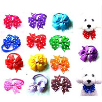 楽天市場】犬 トリミング チョーカーの通販 