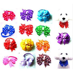 ybgg~O{@S[WX{̃`[J[@A\[g 20Zbg ƖpEṽTlɂybg{(nM[ofB[Y)y[֑/sz styRCPz