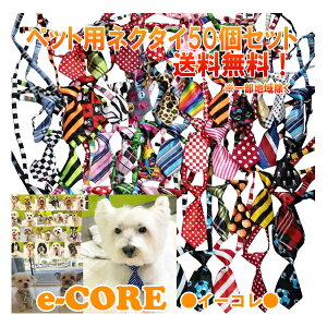 ybgg~OlN^C@`[J[@~bNXA\[g 50Zbg ƖpEṽTlɂCPhbO ybg{(nM[ofB[Y) yz