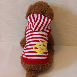 NEƃ{[_[̃^Ngbvibhj@iXL̂݁jy[֑/s@Ruispet(CXybg)@s@pi@  ̕ hbOEFA1000~@|bL@t 