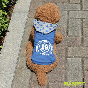 X^[t[hX|[cp[J[/u[iDM̂݁jyCXybgz y[֑zy  ̕ hbOEFAz styRCPz