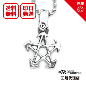 yyΉzyKizyItBVzyVizyzALEX STREETER AbNXXg[^[ Y WG[ Vo[ANZT[ / hSX^[y_g Dragon Star Pendant