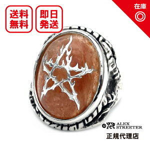 �y�����y�Ή��z�y���K�i�z�y�I�t�B�V�����z�y�V�i�z�y���������zALEX STREETER �A���b�N�X�X�g���[�^�[ �����Y �W���G���[ �V���o�[�A�N�Z�T���[ / �G���W�F���n�[�g�����O2022����S�[���f��