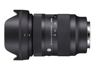 ��SIGMA / �V�O�} 28-70mm F2.8 DG DN [�\�j�[E�p]�y�����Y�z�y���������z