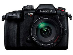 Panasonic / pi\jbN LUMIX DC-GH5M2H {Y[YLbgyfW^Jzyz