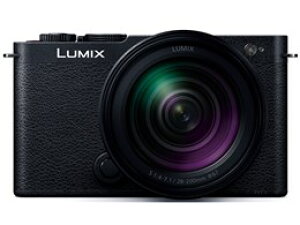 Panasonic / pi\jbN LUMIX DC-S9H-K {Y[YLbg [WFbgubN]yfW^Jzyz
