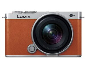 Panasonic / pi\jbN LUMIX DC-S9N-D LpY[YLbg [LIW]yfW^Jzyz