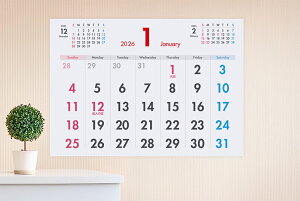 JnIׂ傫J_[ (12Zbg) Vv \yB1 mrElZSTCYz 788×1091mm