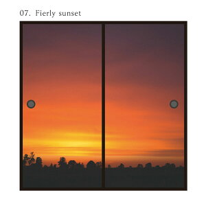 ӂ܎ 悤 S11 91cm×182cm 21g œ\^Cv ATqy ւ   CeA DIY