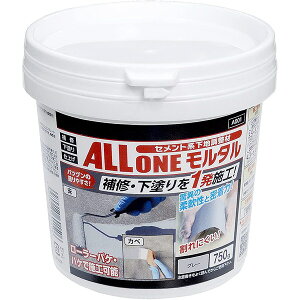 RN[gC Zgnn I[^ O[ 750g ×2 A001 ATqy RN[g C Ђъ Zg RN[gC